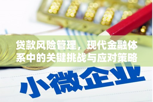 沙田贷款风险管理，现代金融体系中的关键挑战与应对策略