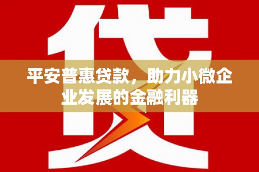 沙田平安普惠贷款，助力小微企业发展的金融利器