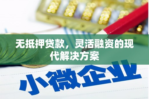 沙田无抵押贷款，灵活融资的现代解决方案