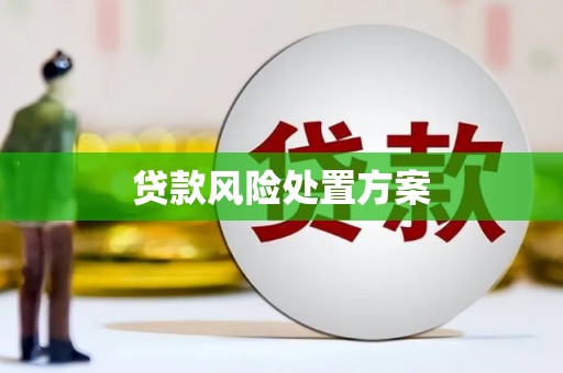 沙田贷款风险处置方案