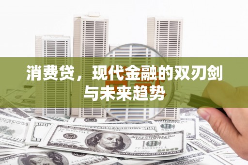 沙田消费贷，现代金融的双刃剑与未来趋势