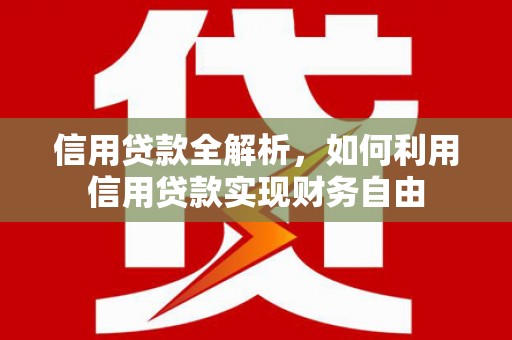 沙田信用贷款全解析，如何利用信用贷款实现财务自由