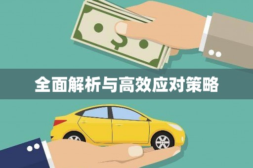 沙田全面解析与高效应对策略