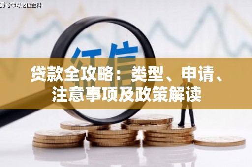 沙田贷款全攻略：类型、申请、注意事项及政策解读